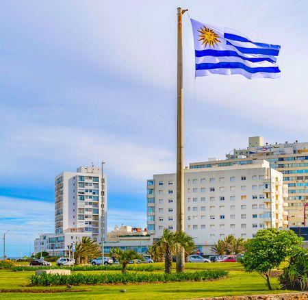 Terrenos en Punta del Este